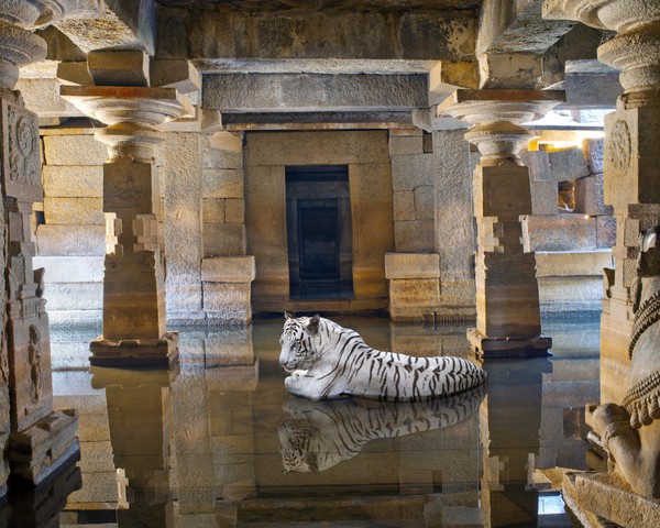 Bhakti, The Path of Sants, Shiva Temple, Hampi