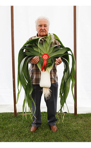 Martin Parr from the Black Country series