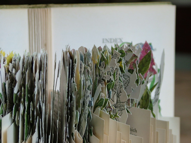 Book - Art - Botany