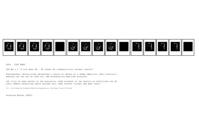 Cosmopolitical Futures- Human Donor Series - Acts 1-3 - Fate Maps - 00-004 - Photographs