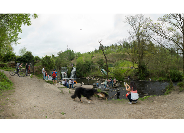 Penllegare Gardens, from the project The Moon and a Smile