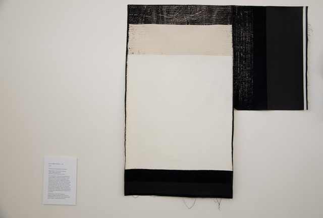 Diana Harrison: Working in Cloth