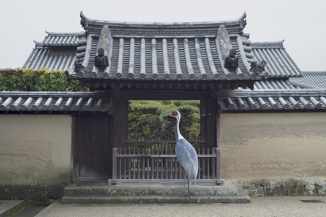 The Landing, Horyuji Temple, Nara