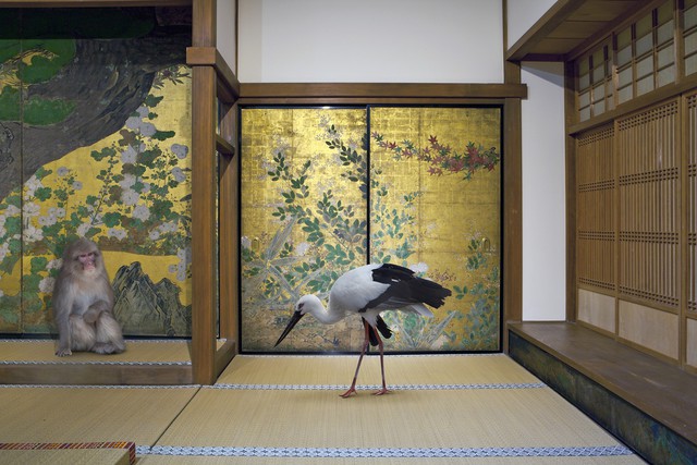 Cultivating Happiness, Chishaku-in Temple, Kyoto