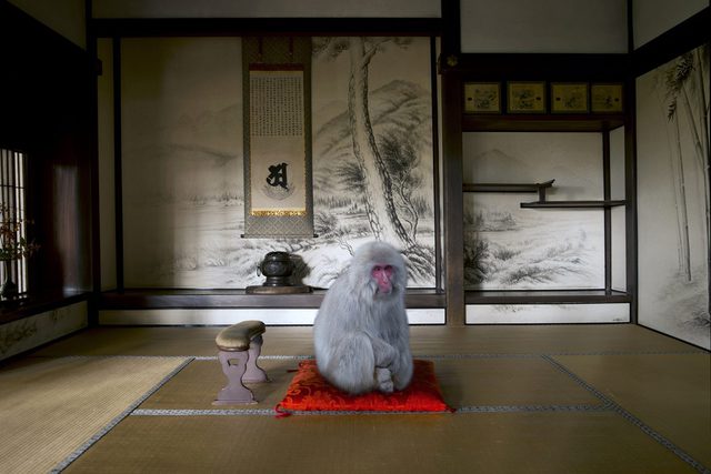 Awakened to Emptiness, Hosen-in Temple, Ohara