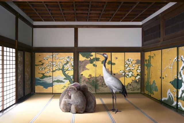 Guardian of the Temple, Nazen-ji Temple, Kyoto