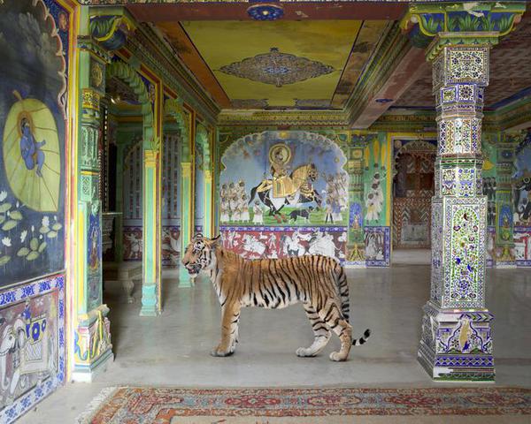 Arjuna's Path, Junha Mahal, Dungarpur