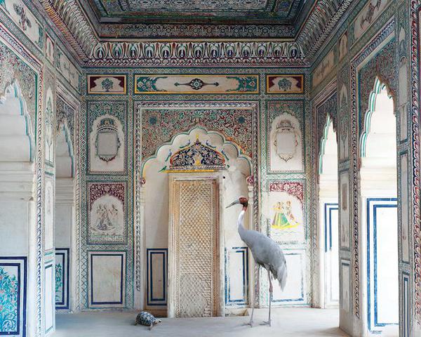 Amrita's Message, Nagaur Fort, Nagaur