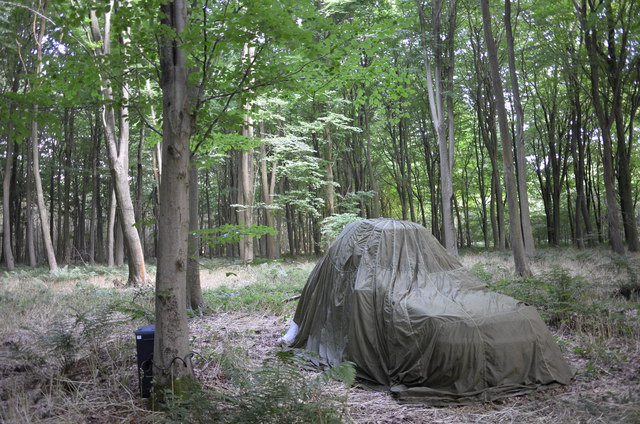 Swiss Mountain Stream, Interventions, King’s Wood, Challock - Peter Hofer