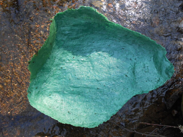 Wax cast of glacial boulder