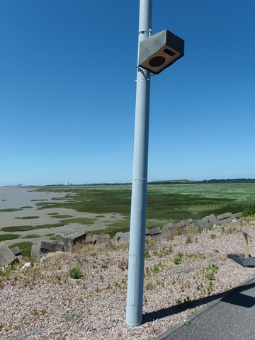 L’autoroute insectes