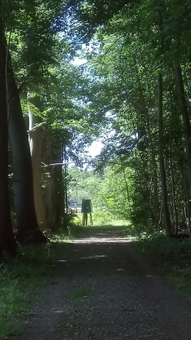 Checkpoint ( long view towards the road)