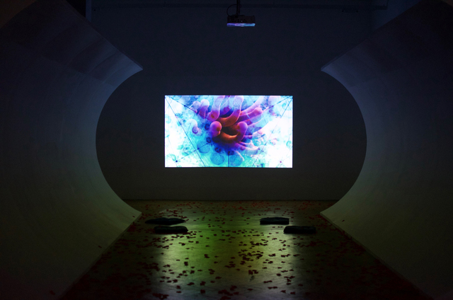 Chapter Arts Akula Dream installation shot 2