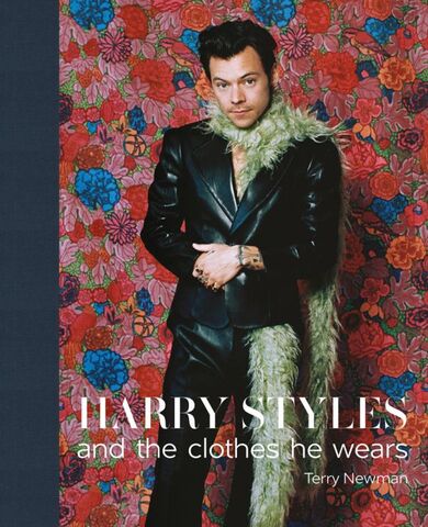 Harry Styles and the clothes he wears - terry Newman - book cover